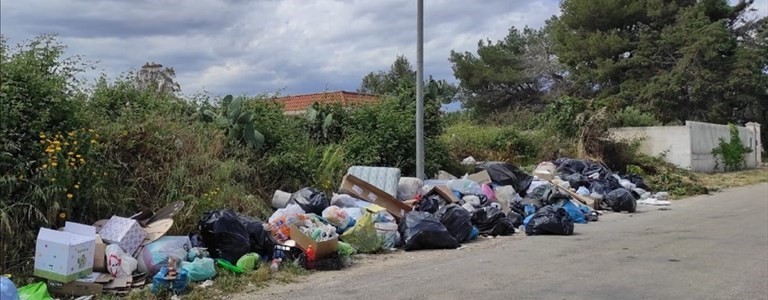 Rifiuti abbandonati Rifiuti abbandonati