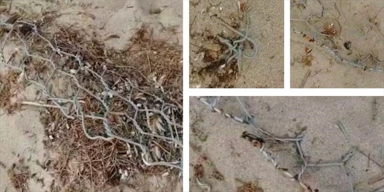 Trappole sotto la sabbia Trappole sotto la sabbia