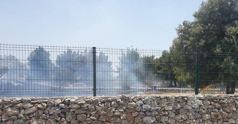 Incendio nel parco Incendio nel parco