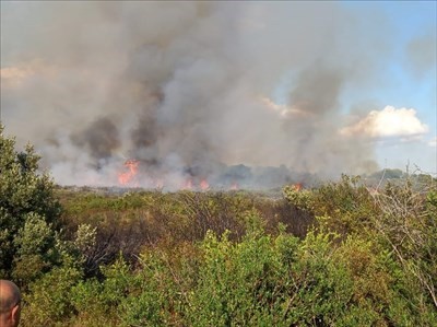 Incendio a La Scalella Incendio a La Scalella