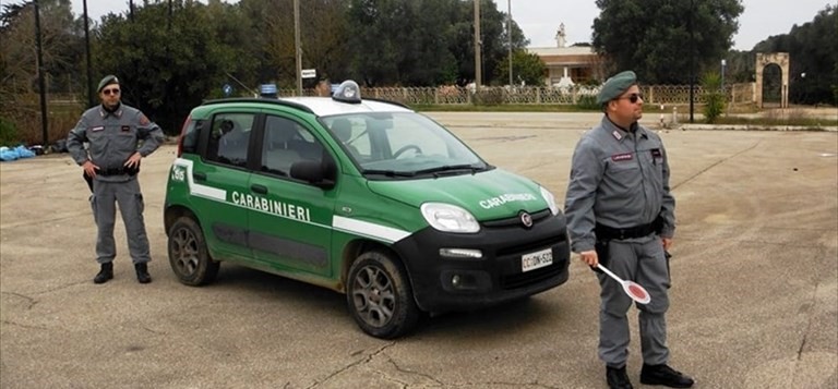 Carabinieri forestale