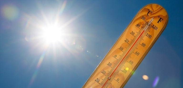 Caldo