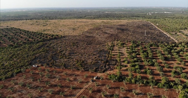 La zona distrutta dal fuoco La zona distrutta dal fuoco