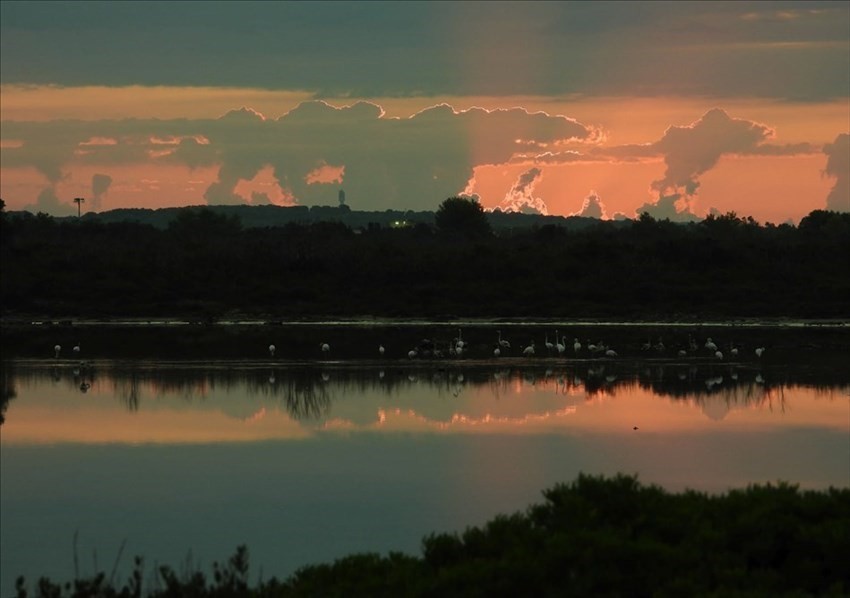 L'aurora sulla Salina dei Monaci