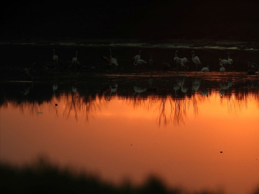 L'aurora sulla Salina dei Monaci