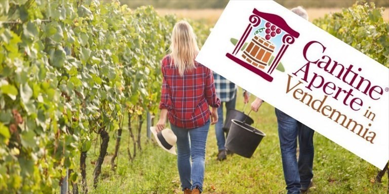 Cantine Aperte Vendemmia Cantine Aperte Vendemmia