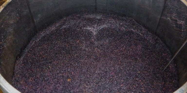 Mosto Mosto