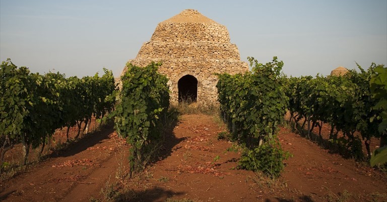 Consorzio di Tutela del Primitivo di Manduria