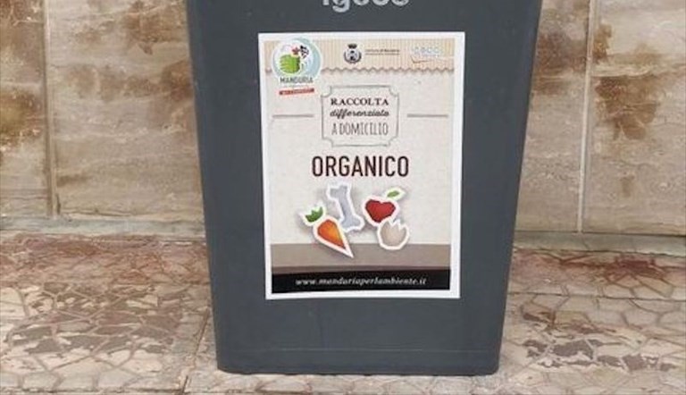 Bidoncino dei rifiuti Bidoncino dei rifiuti