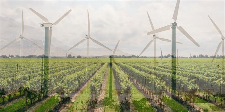 Demos: la vocazione agricola non deve essere svenduta all'eolico selvaggio