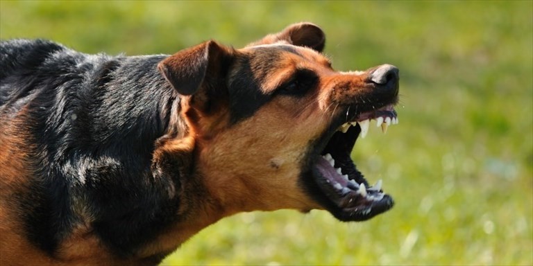 Aggressione