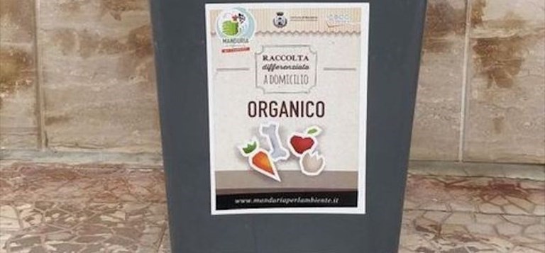 Bidoncino dei rifiuti Bidoncino dei rifiuti