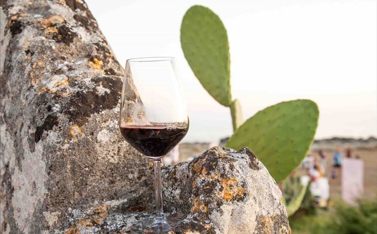 Primitivo Primitivo