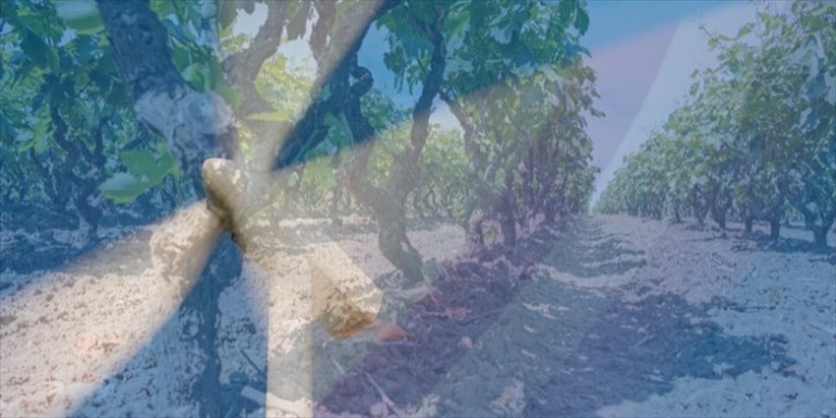 Eolico nella terra del Primitivo Eolico nella terra del Primitivo
