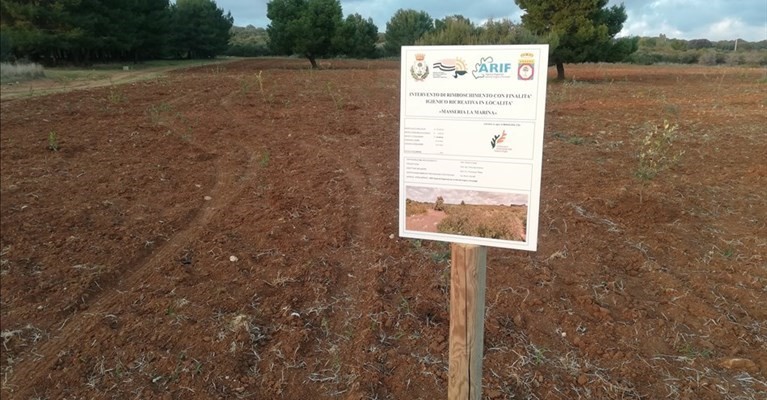 La zona dove reimpiantare La zona dove reimpiantare