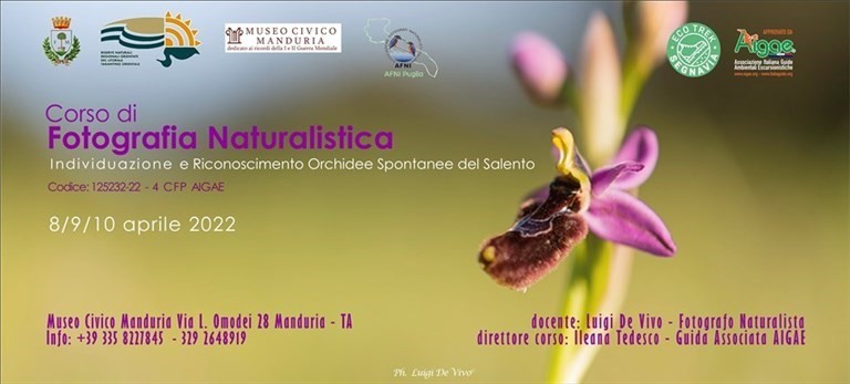 Corso di fotografia naturalistica e di riconoscimento di orchidee spontanee