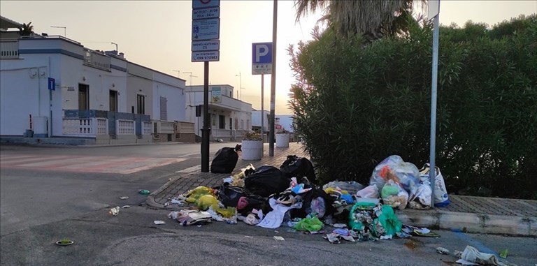 Rifiuti abbandonati