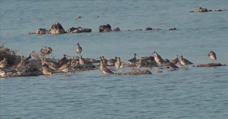 La Salina La Salina