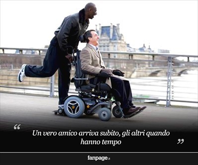 Quasi amici o perfetti sconosciuti? Quasi amici o perfetti sconosciuti?