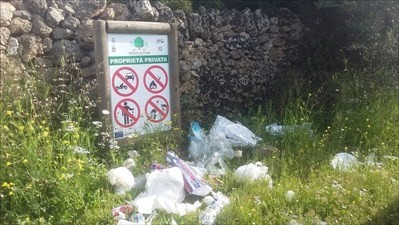 Bosco dei Cuturi, ambiente protetto, aprile 2019 - Scatto di Piero Dimitri Bosco dei Cuturi, ambiente protetto, aprile 2019 - Scatto di Piero Dimitri