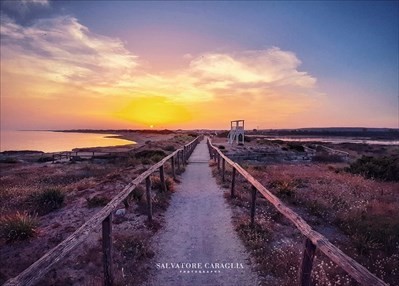 Sentiero, area protetta Salina dei Monaci, marine di Manduria, giugno 2019 - Scatto di Salvatore Caraglia