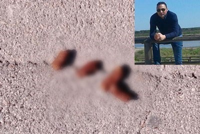 E se punissimo anche i padroni sporcaccioni di cani? E se punissimo anche i padroni sporcaccioni di cani?