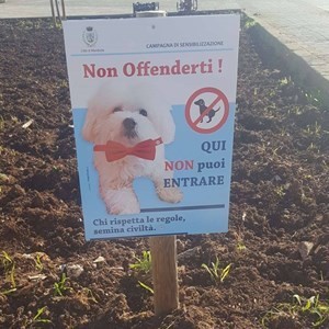 Piazza Giovanni XXIII vietata ai cani