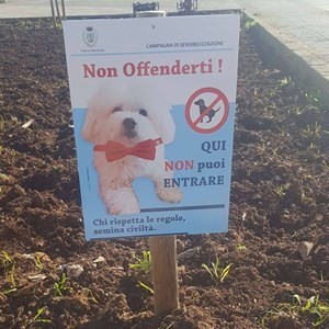 Piazza Giovanni XXIII vietata ai cani Piazza Giovanni XXIII vietata ai cani