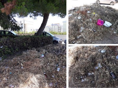 Le aiuole nei pressi dei poliambulatori della Asl di via Uggiano Le aiuole nei pressi dei poliambulatori della Asl di via Uggiano