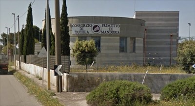 Nasce l'Unione tra i consorzi di tutela dei vini, oggi l'annuncio al forum di Vespa