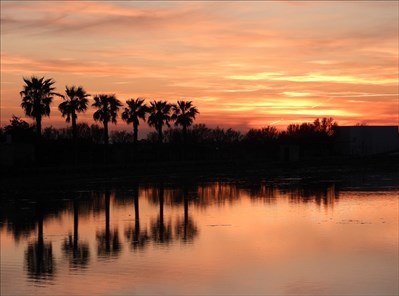 Tramonto a Porto Cesareo, aprile 2022, scatto di Teresa Prete Tramonto a Porto Cesareo, aprile 2022, scatto di Teresa Prete