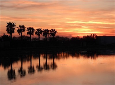 Tramonto a Porto Cesareo, aprile 2022, scatto di Teresa Prete