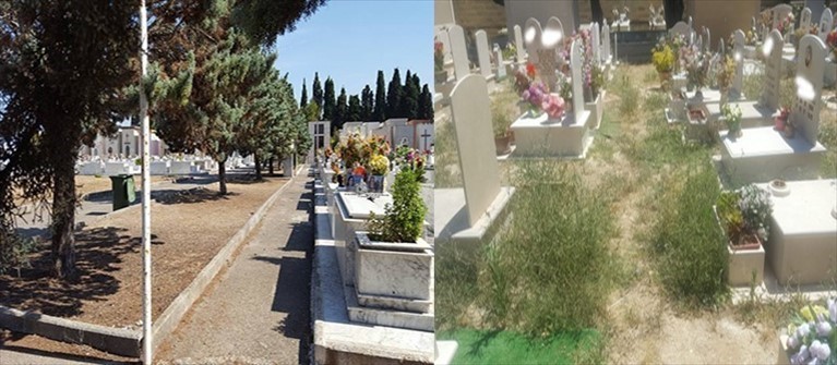 cimitero