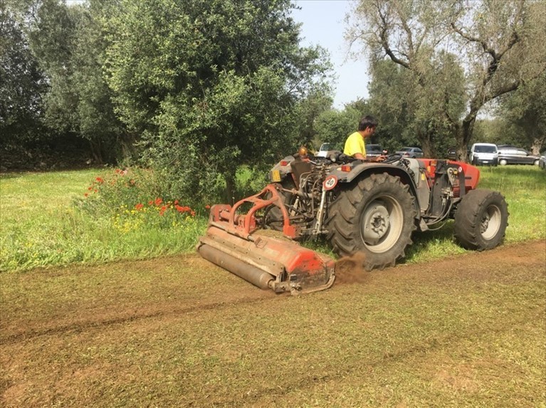 Buone pratiche agricole