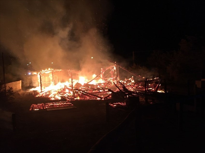 Incendio Spiaggia del Conte, Punta Prosciutto