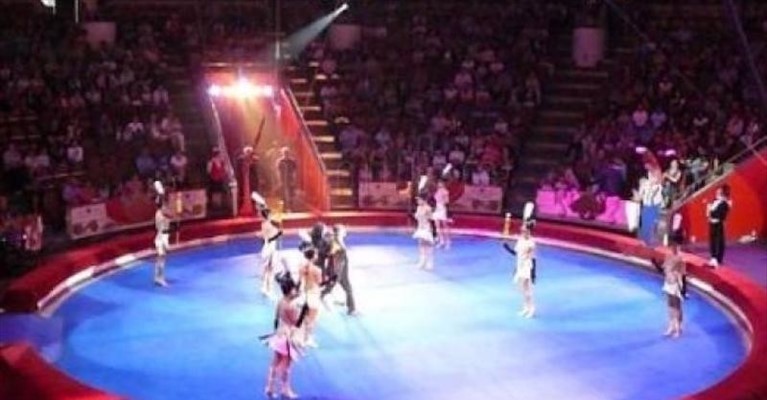 Circo Circo