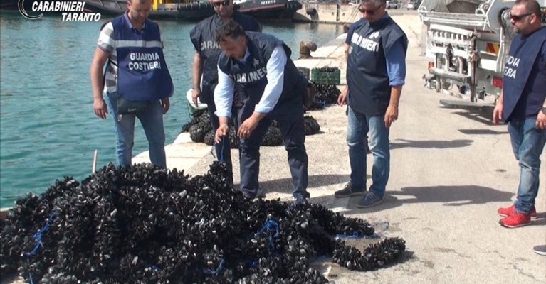 Cozze sequestrate Cozze sequestrate