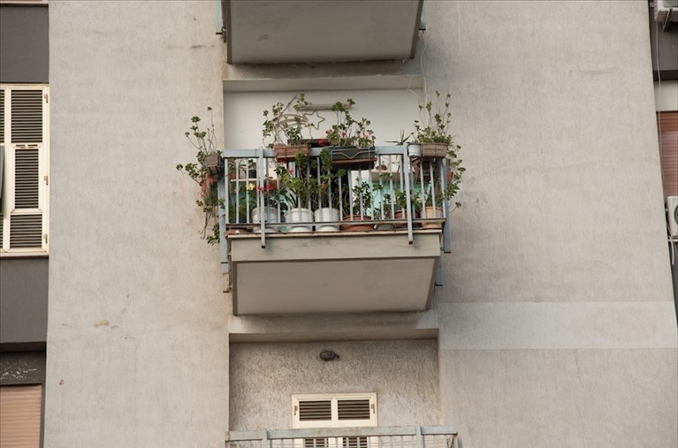 Il balcone della follia