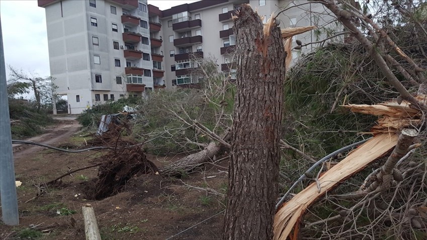 Gli effetti della tromba d'aria del 28 ottobre 2018 in Viale Aldo Moro