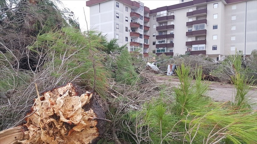 Gli effetti della tromba d'aria del 28 ottobre 2018 in Viale Aldo Moro