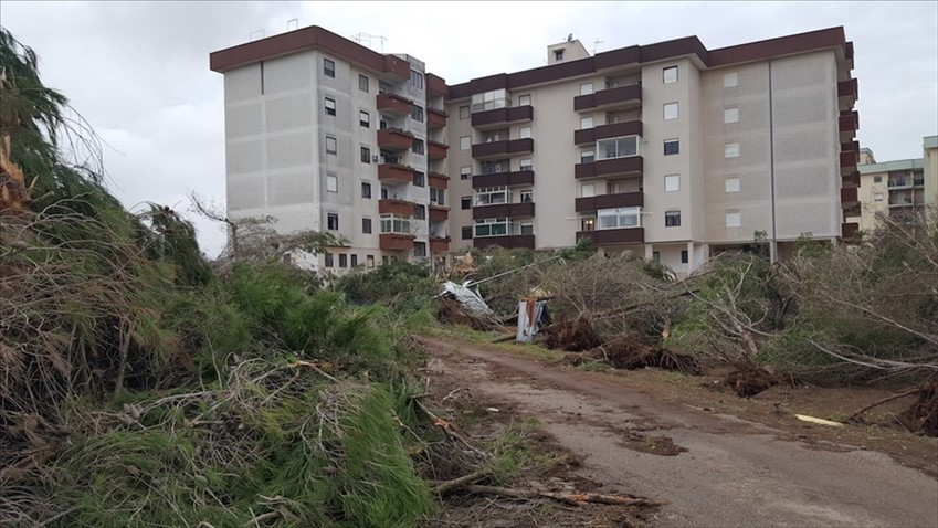 Gli effetti della tromba d'aria del 28 ottobre 2018 in Viale Aldo Moro