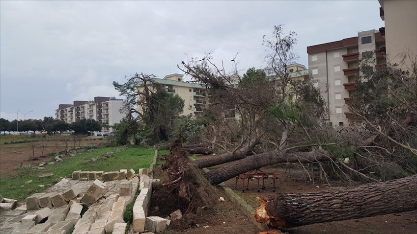 Gli effetti della tromba d'aria del 28 ottobre 2018 in Viale Aldo Moro