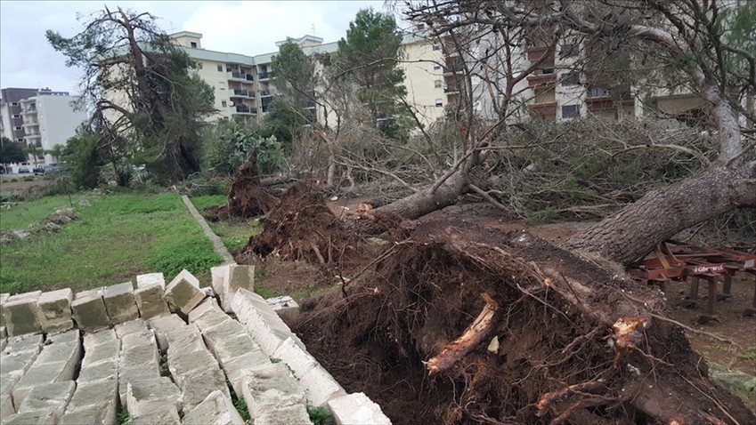 Gli effetti della tromba d'aria del 28 ottobre 2018 in Viale Aldo Moro