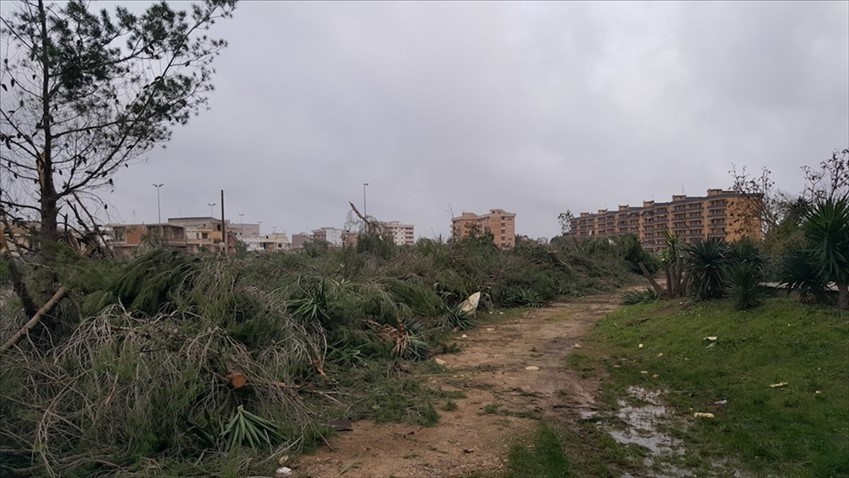 Gli effetti della tromba d'aria del 28 ottobre 2018 in Viale Aldo Moro