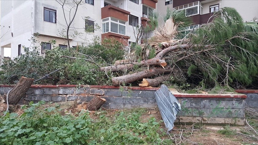 Gli effetti della tromba d'aria del 28 ottobre 2018 in Viale Aldo Moro