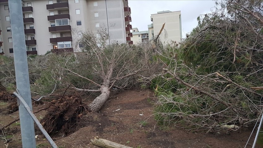 Gli effetti della tromba d'aria del 28 ottobre 2018 in Viale Aldo Moro