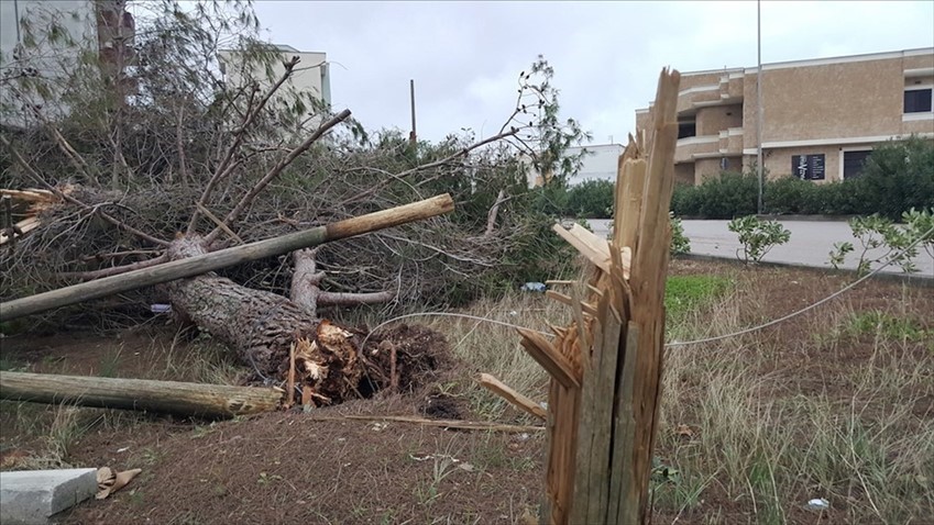 Gli effetti della tromba d'aria del 28 ottobre 2018 in Viale Aldo Moro