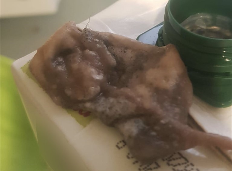 Il topo nel succo di frutta Il topo nel succo di frutta