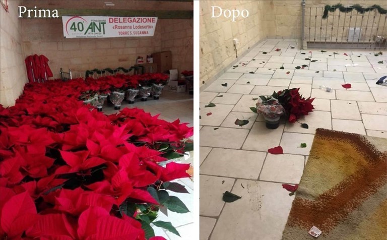 Le foto del furto Le foto del furto