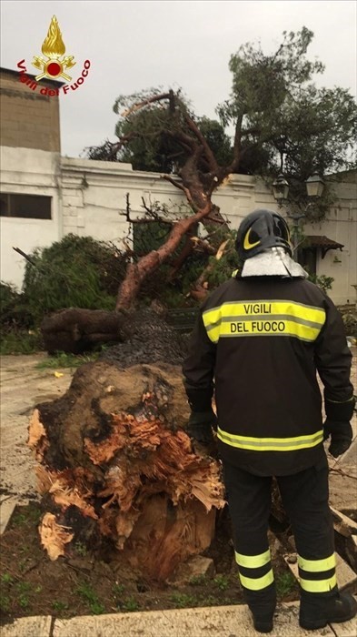 Maltempo: Vigili del fuoco a Mesagne